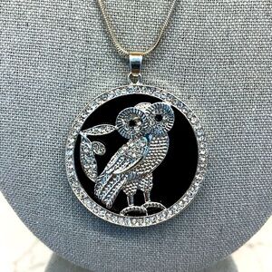Owl Disc Pendant on a Long Silvertone chain